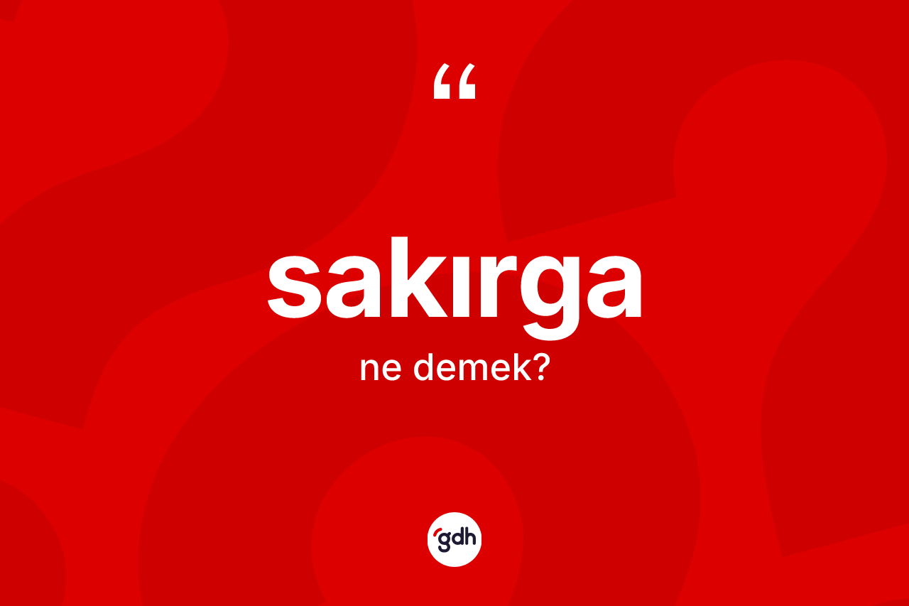 Sakırga nedir? Sakırga kelimesinin TDK'ya göre açıklaması nedir?