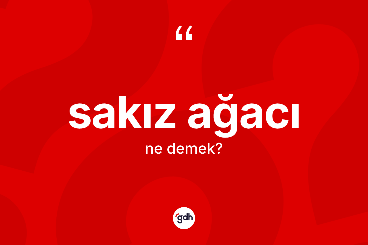 Sakız ağacı kelimesi nedir?