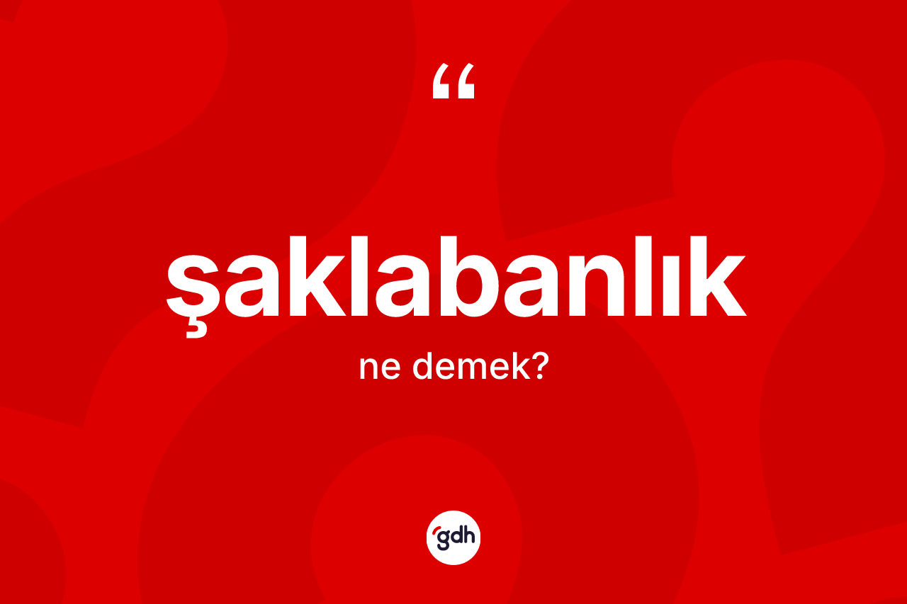 Şaklabanlık kelimesi ne anlama gelir? Şaklabanlık kelimesinin özellikleri nelerdir?