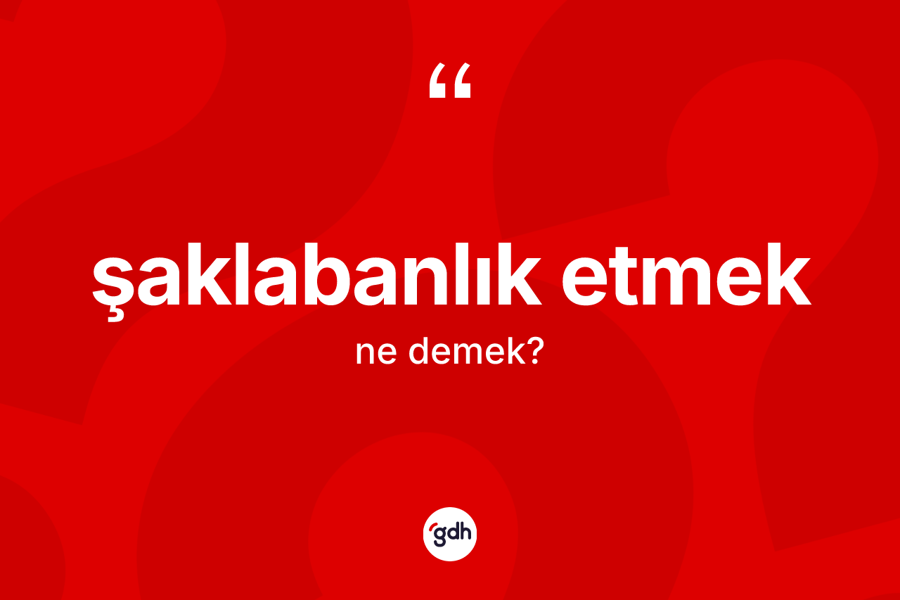 Şaklabanlık etmek ifadesi ne demek? Şaklabanlık etmek ifadesi hangi durumlarda kullanılır