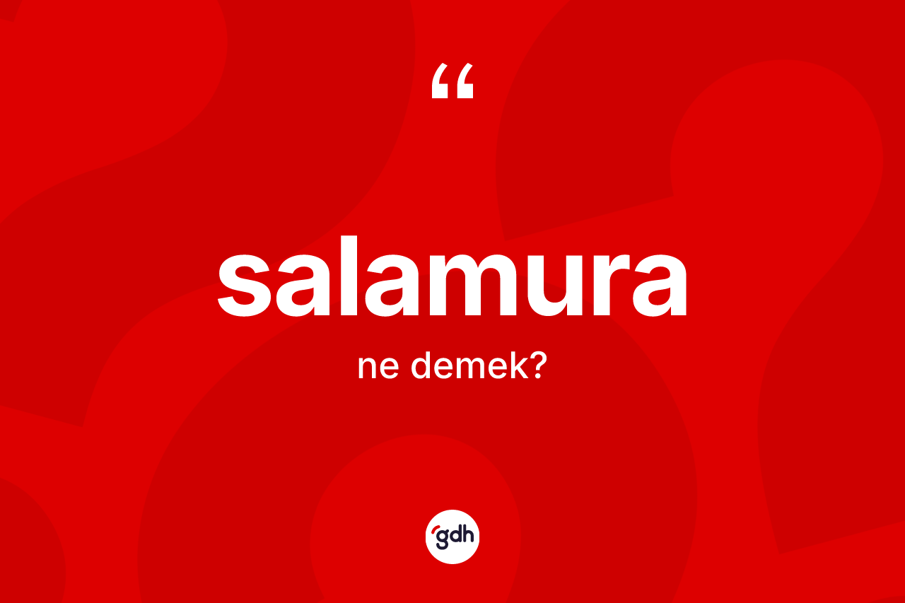 Salamura kelimesinin sözlükteki tanımı nedir?