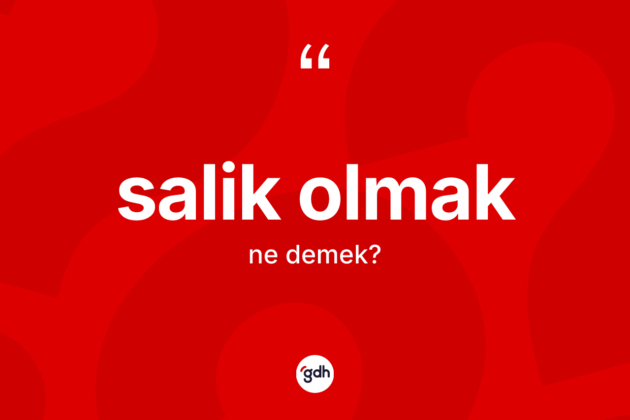 Salik olmak ifadesinin sözlükteki anlamı nedir? Salik olmak ifadesinin kaç farklı anlamı var?