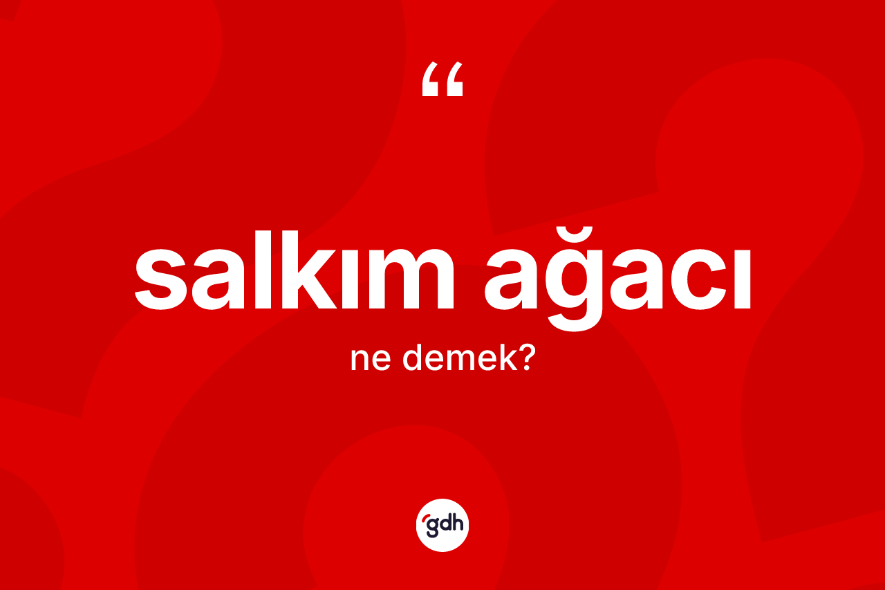 Salkım ağacı kelimesi nedir?