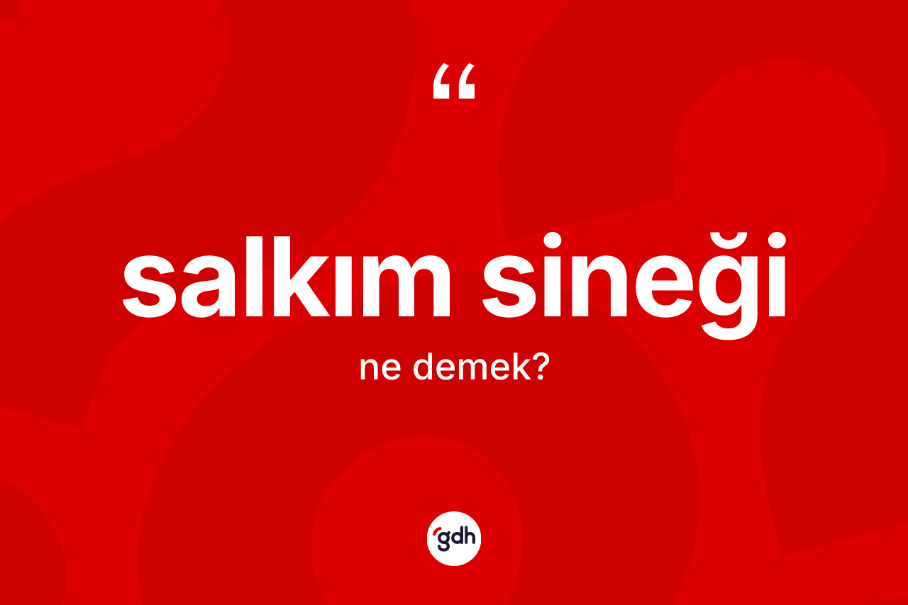 Salkım sineği ne anlama gelir?