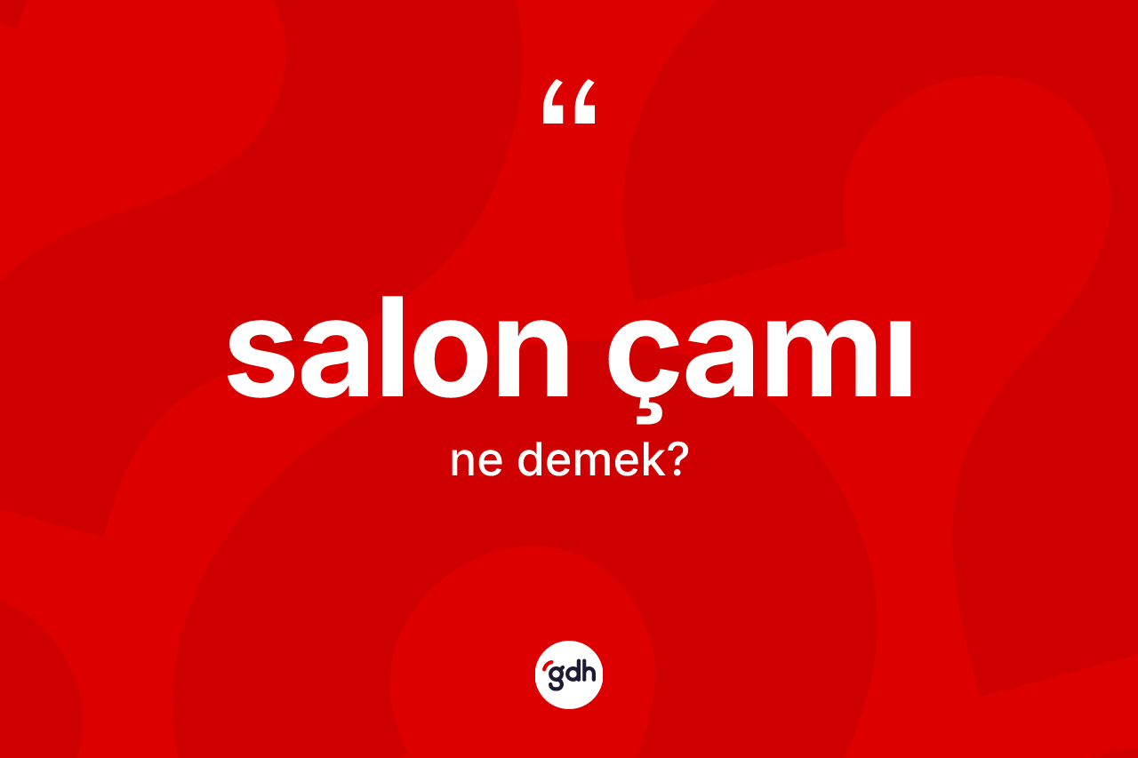 Salon çamı kelimesi ne anlama gelir? Salon çamının TDK'ya göre anlamı nedir?
