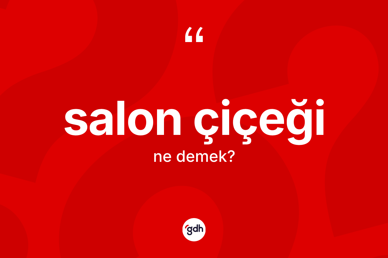 Salon çiçeği kelimesi ne anlama gelir? Salon çiçeğinin TDK'ya göre anlamı nedir?