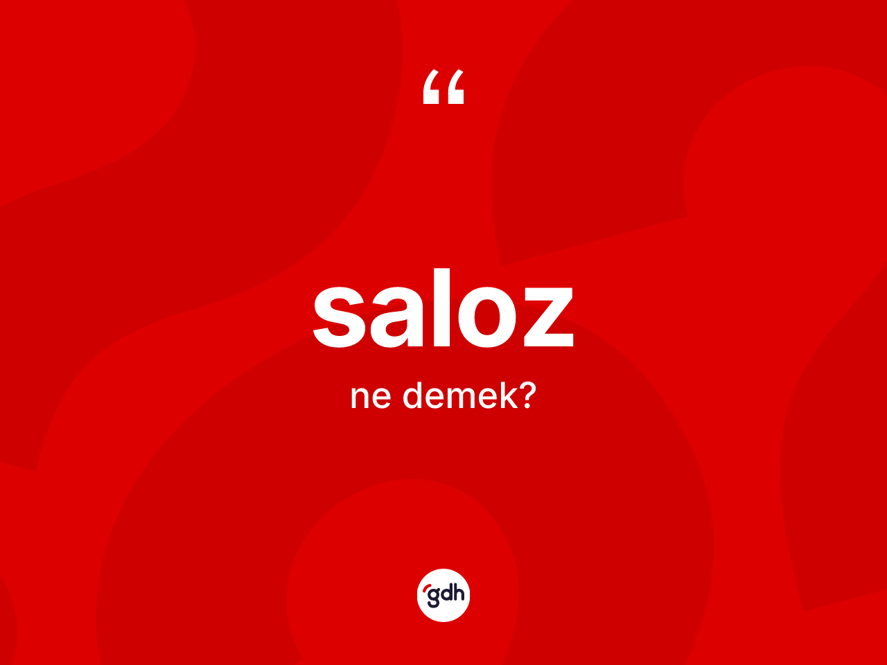 Saloz kelimesi nedir? Saloz kelimesinin kaç farklı anlamı var?