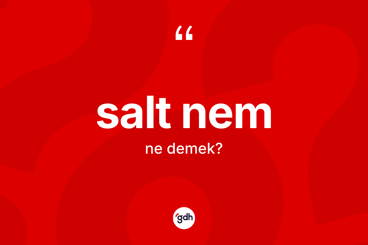 Salt nem kelimesi ne demek?