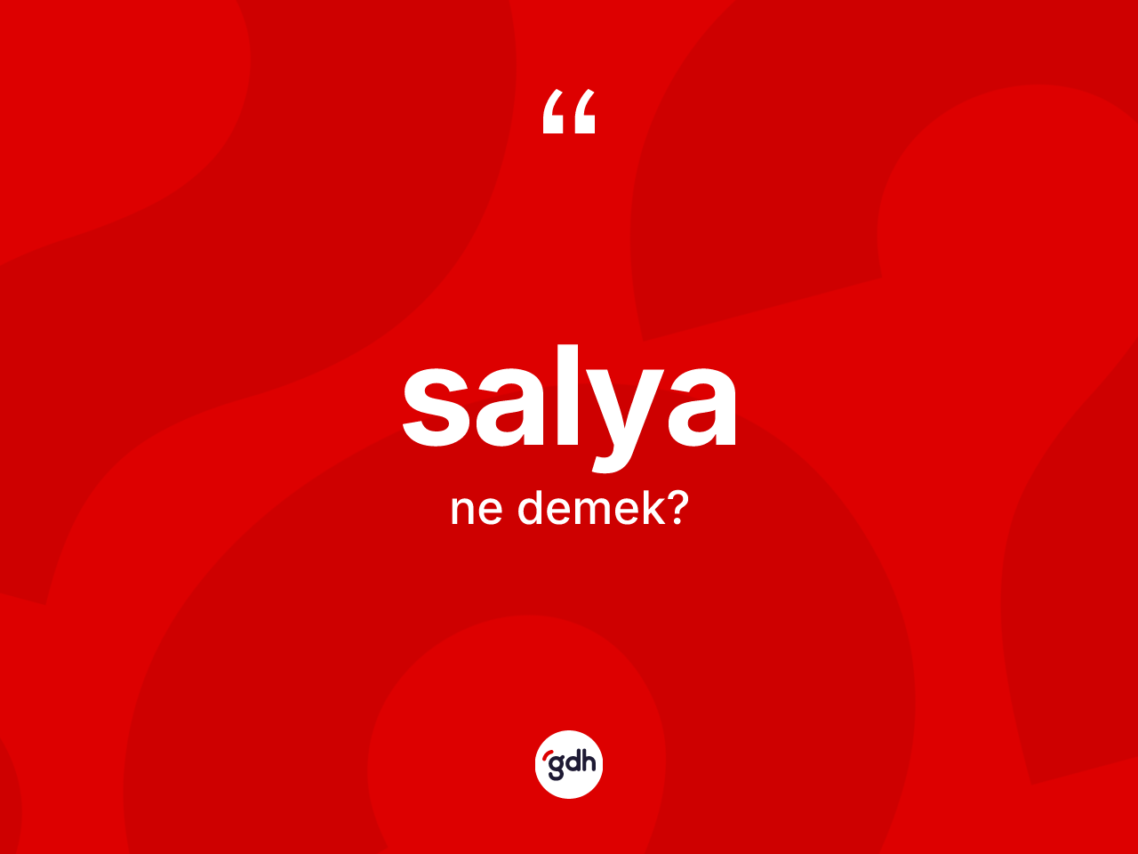 Salya kelimesinin anlamı nedir? Salya kelimesinin kaç farklı anlamı var?
