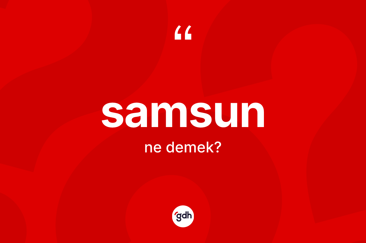 Samsun kelimesinin sözlükteki tanımı nedir? Samsunun kısaca tanımı nedir?