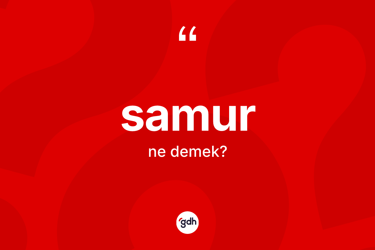 Samur kelimesi ne demek?