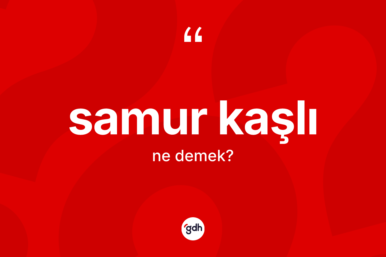 Samur kaşlı kelimesinin sözlükteki tanımı nedir? Samur kaşlının TDK'ya göre anlamı nedir?