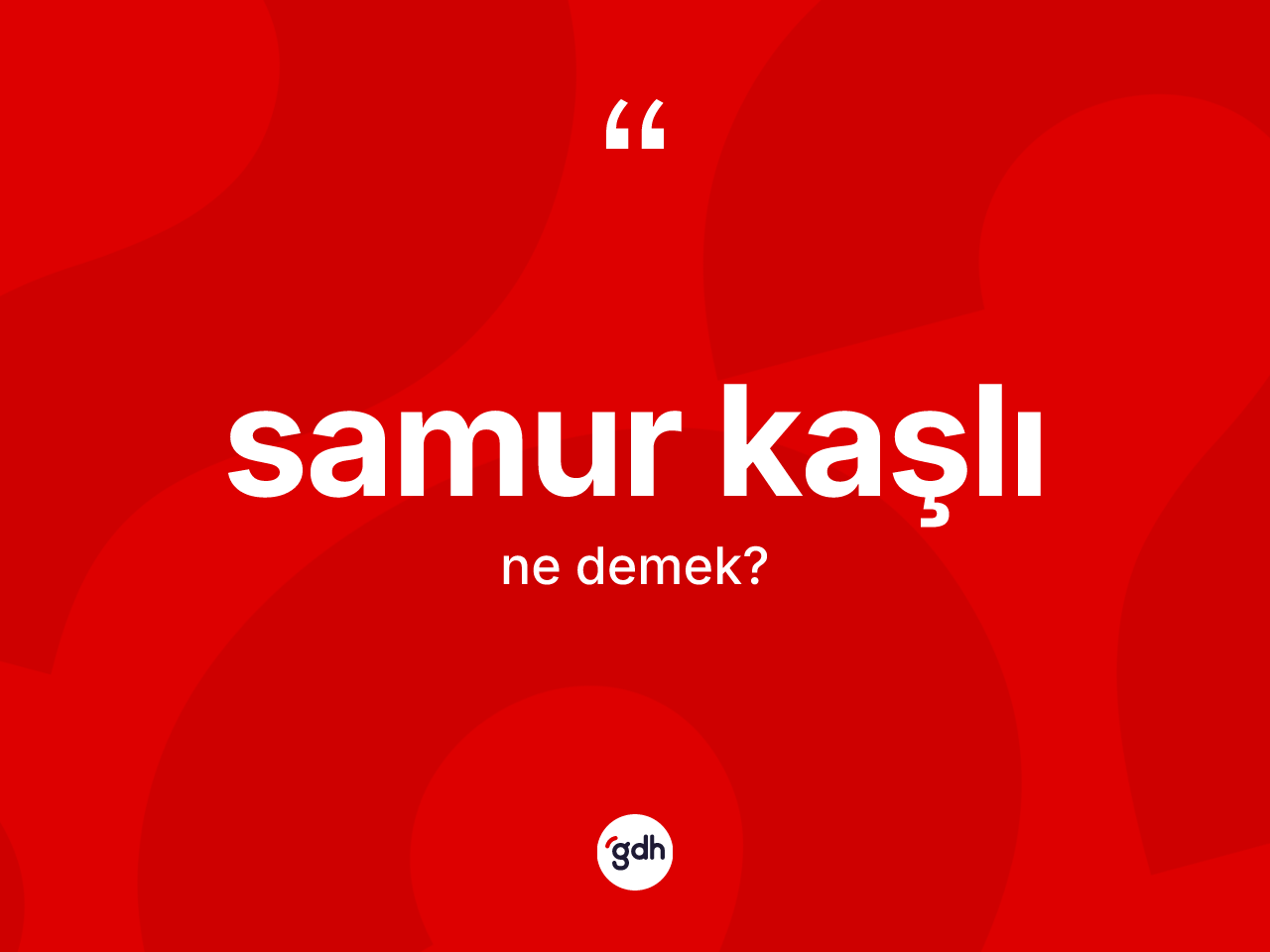 Samur kaşlı kelimesinin sözlükteki tanımı nedir? Samur kaşlının TDK'ya göre anlamı nedir?