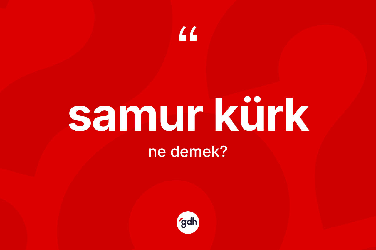Samur kürk kelimesinin tanımı nedir?