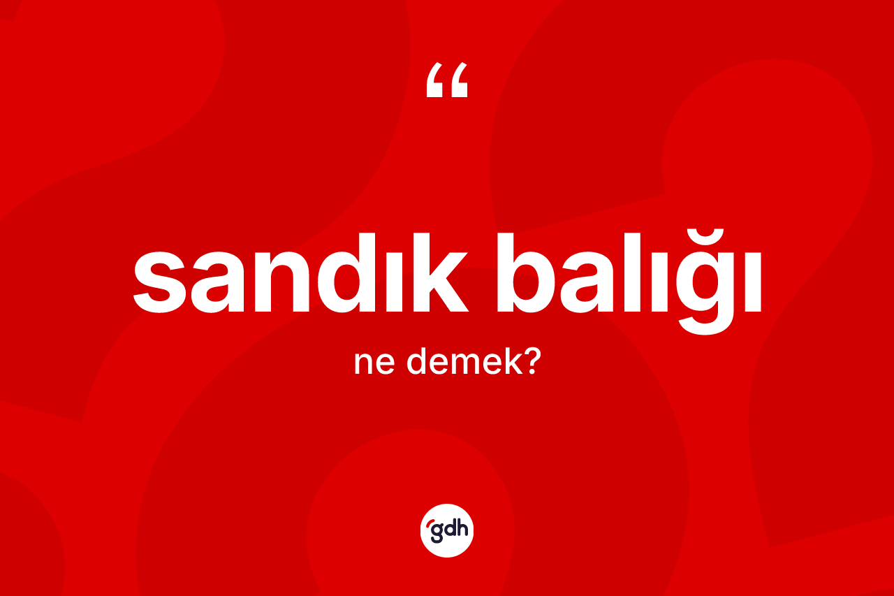 Sandık balığı nedir? Sandık balığı kelimesinin özellikleri nelerdir?