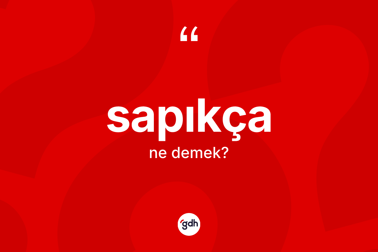 Sapıkça kelimesinin anlamı nedir? Sapıkçanın TDK'ya göre anlamı nedir?