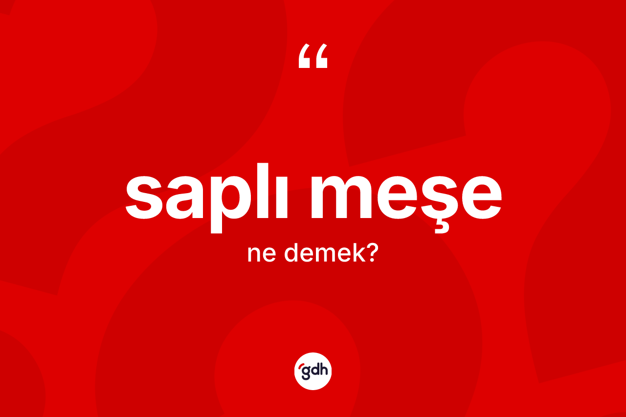Saplı meşe kelimesinin sözlükteki tanımı nedir?