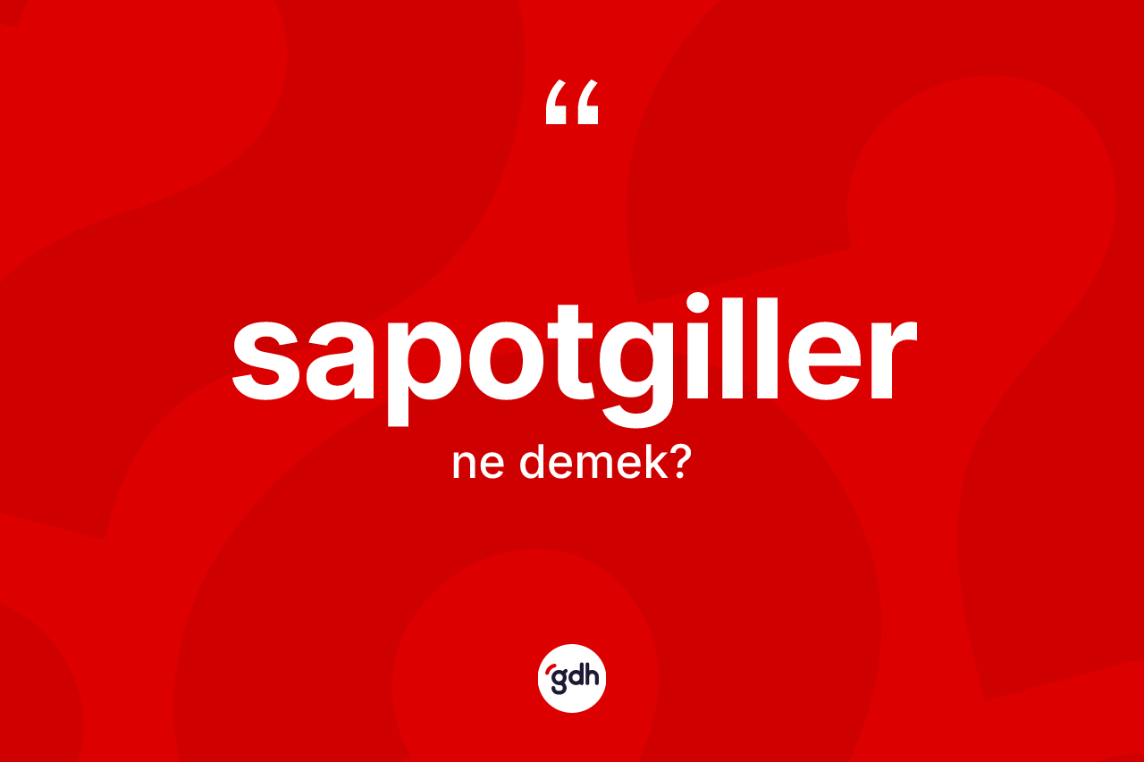 Sapotgiller kelimesinin tanımı nedir?
