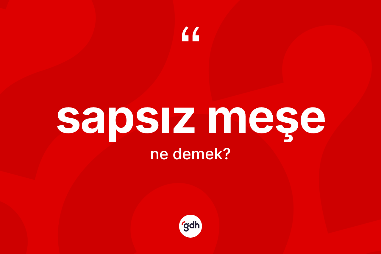 Sapsız meşe kelimesinin sözlükteki tanımı nedir?
