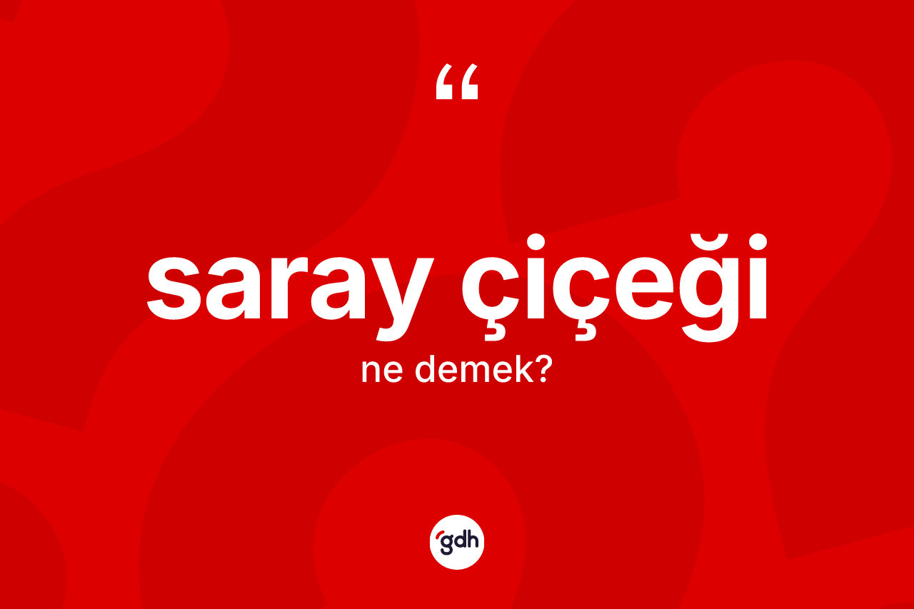 Saray çiçeği kelimesinin anlamı nedir? Saray çiçeğinin TDK'ya göre anlamı nedir?