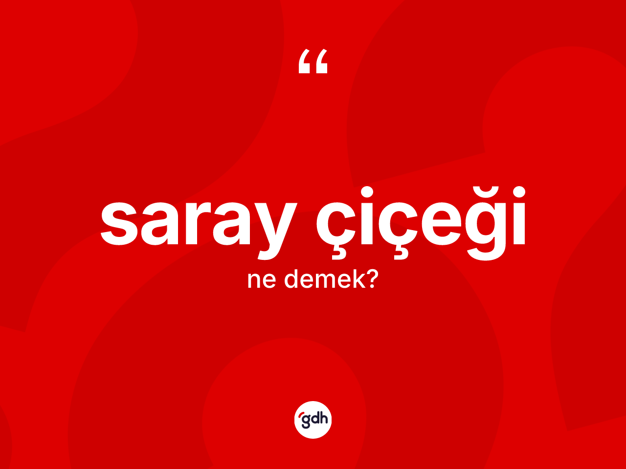 Saray çiçeği kelimesinin anlamı nedir? Saray çiçeğinin TDK'ya göre anlamı nedir?
