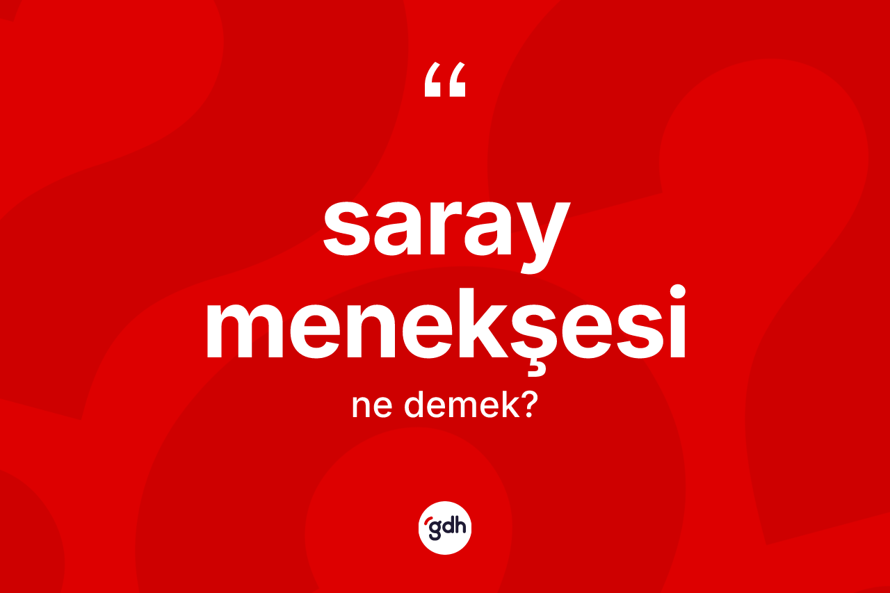 Saray menekşesi kelimesinin anlamı nedir? Saray menekşesinin kısaca tanımı nedir?