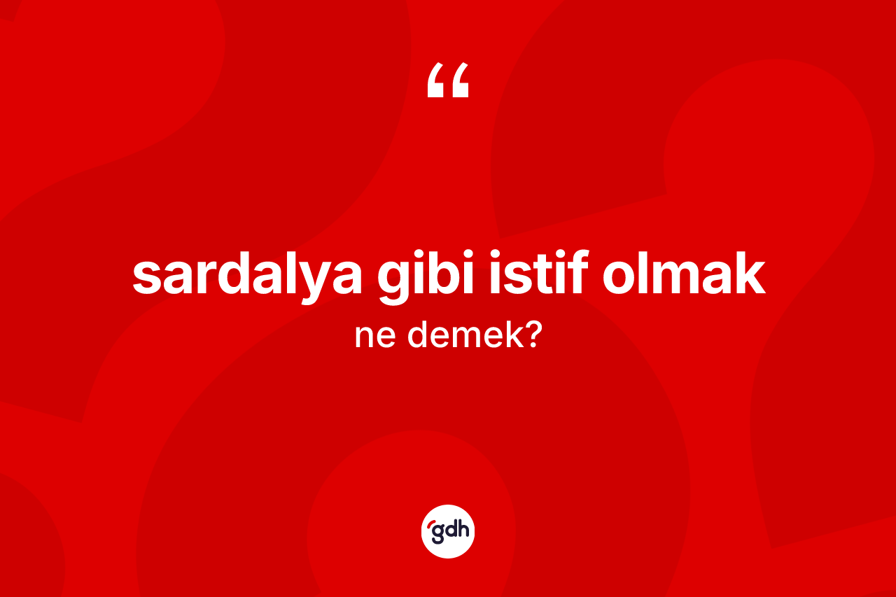 Sardalya gibi istif olmak ne demektir?