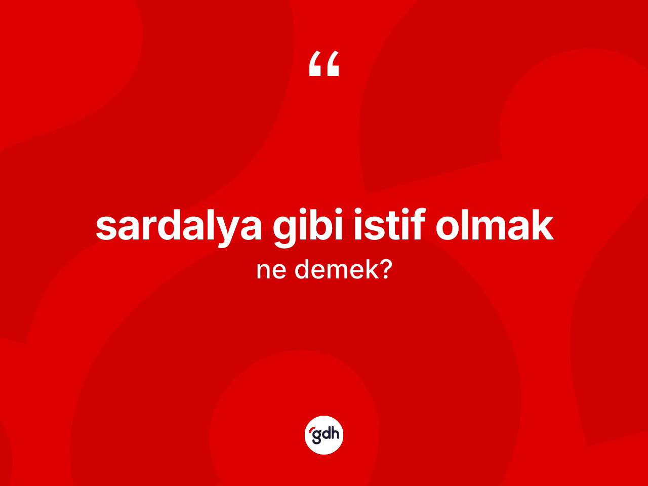 Sardalya gibi istif olmak ne demektir? Sardalya gibi istif olmak sözü hangi durumlarda kullanılır?