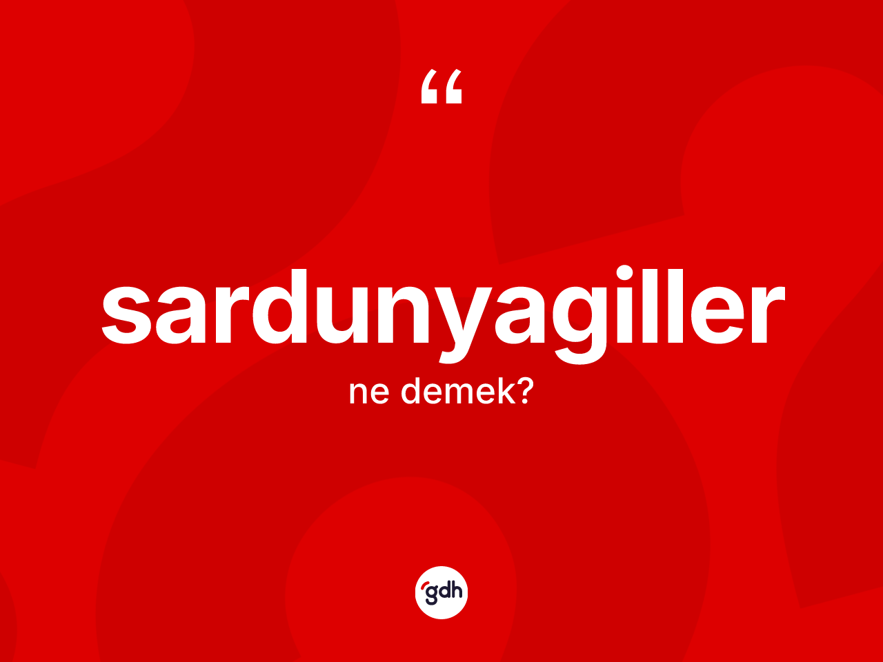 Sardunyagiller ne demek? Sardunyagillerin TDK'ya göre anlamı nedir?