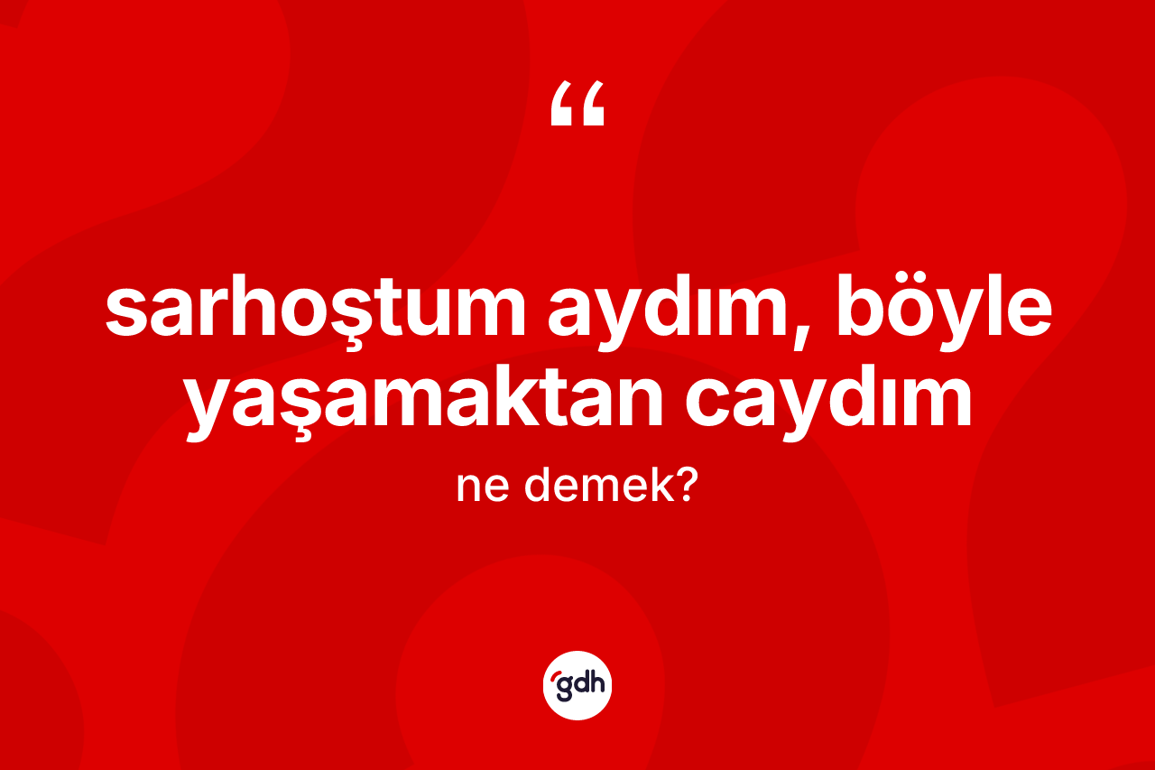 Sarhoştum aydım, böyle yaşamaktan caydım ifadesinin tanımı nedir? Sarhoştum aydım, böyle yaşamaktan caydım sözünün TDK'ya göre anlamı nedir?
