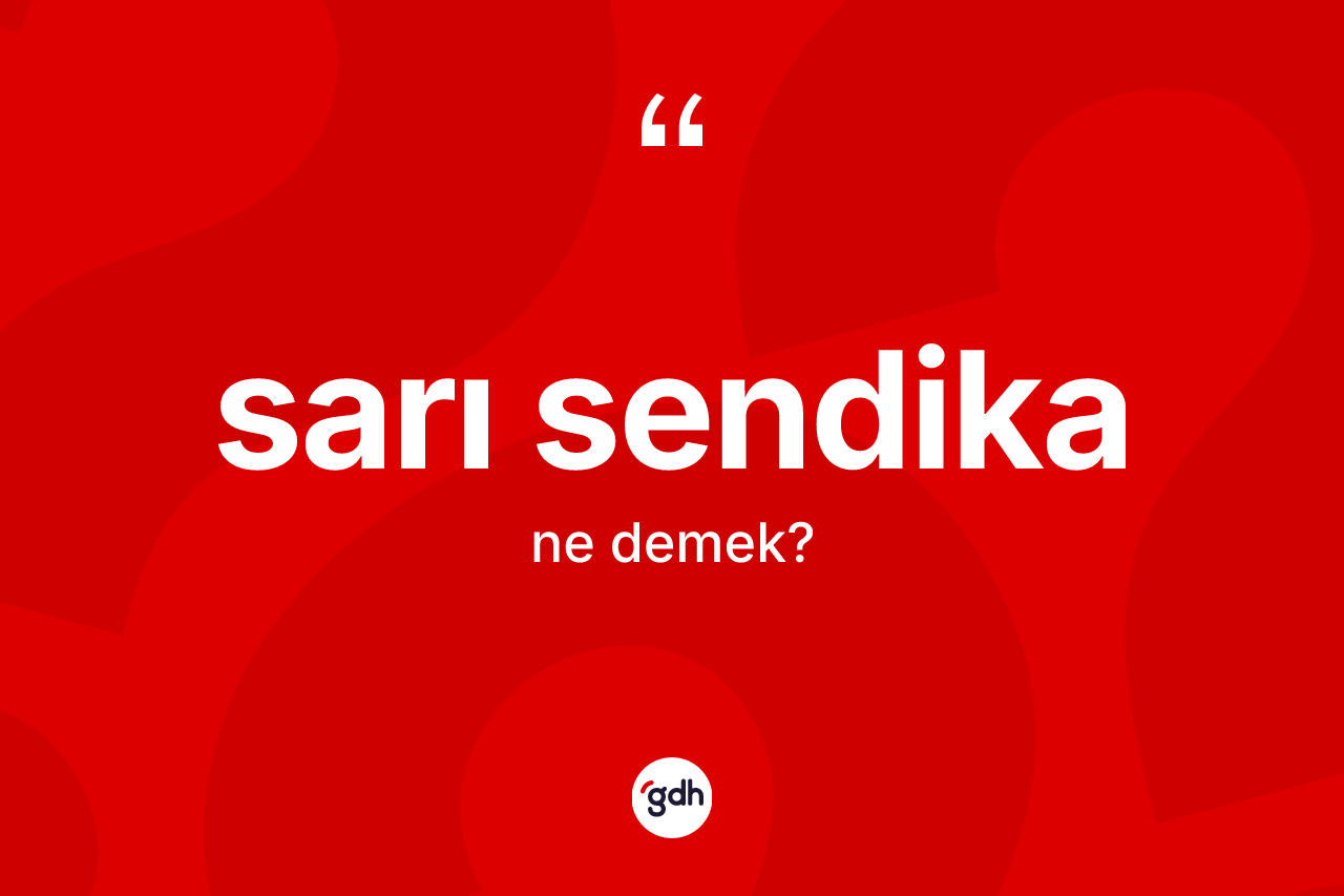 Sarı sendika kelimesi ne anlama gelir?