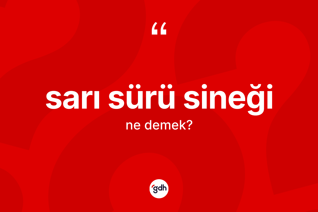 Sarı sürü sineği kelimesi ne demek? Sarı sürü sineğinin sözlükteki anlamı nedir?
