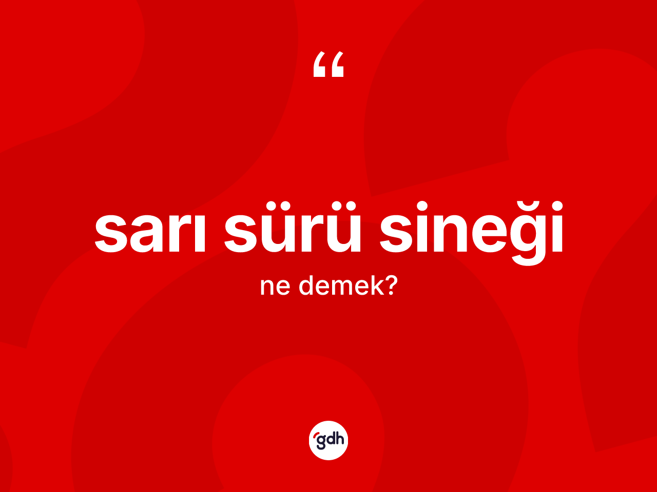 Sarı sürü sineği kelimesi ne demek? Sarı sürü sineğinin sözlükteki anlamı nedir?