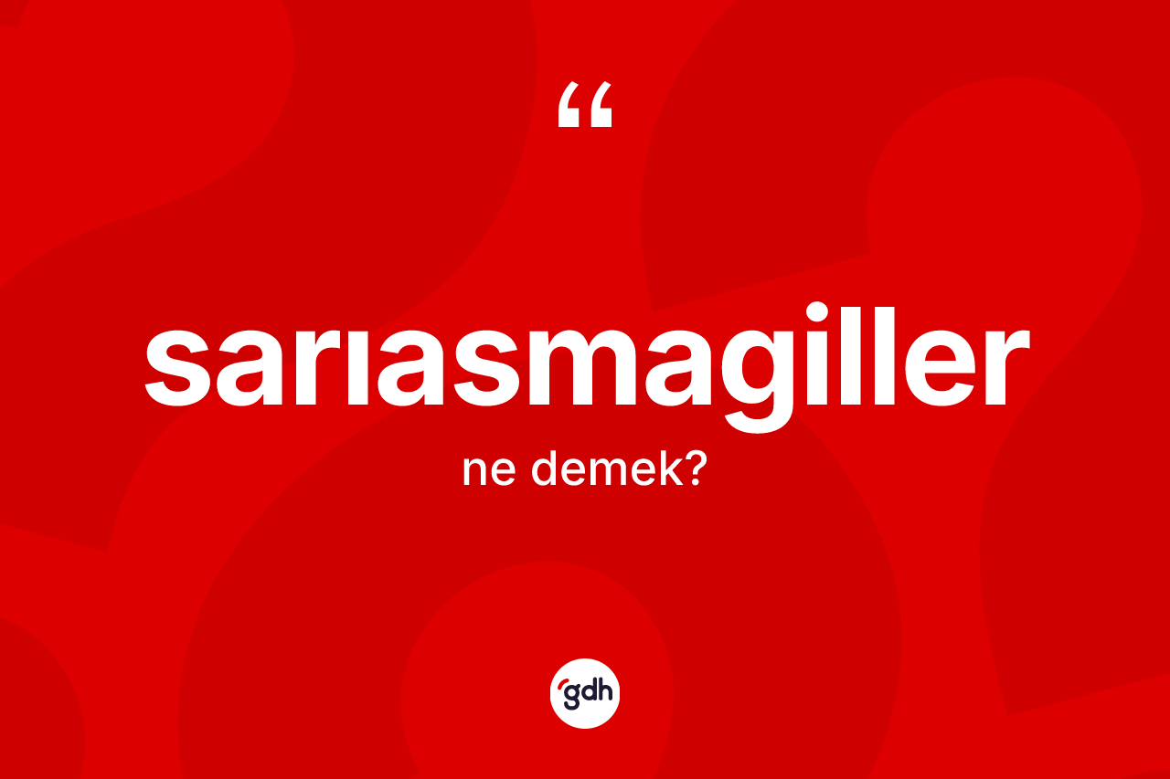 Sarıasmagiller kelimesinin tanımı nedir? Sarıasmagillerin TDK'ya göre anlamı nedir?
