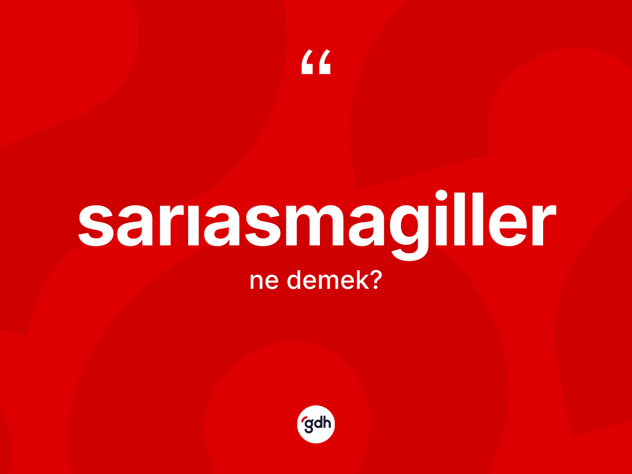 Sarıasmagiller kelimesinin tanımı nedir? Sarıasmagillerin TDK'ya göre anlamı nedir?