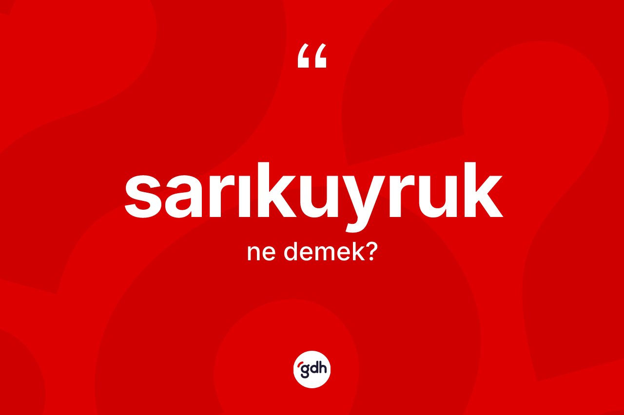 Sarıkuyruk kelimesinin sözlükteki tanımı nedir? Sarıkuyruk kelimesinin TDK'ya göre açıklaması nedir?