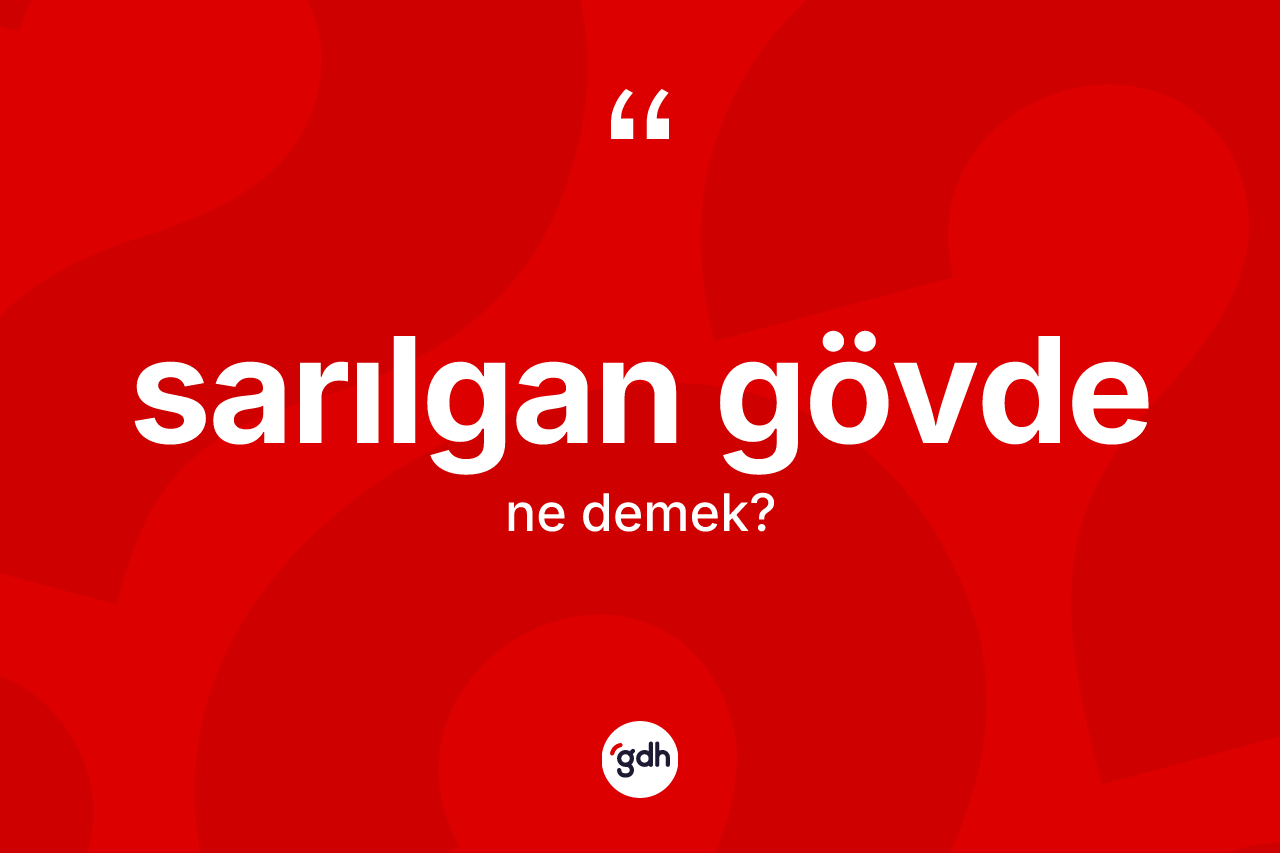 Sarılgan gövde kelimesi nedir? Sarılgan gövde kelimesinin kaç farklı anlamı var?