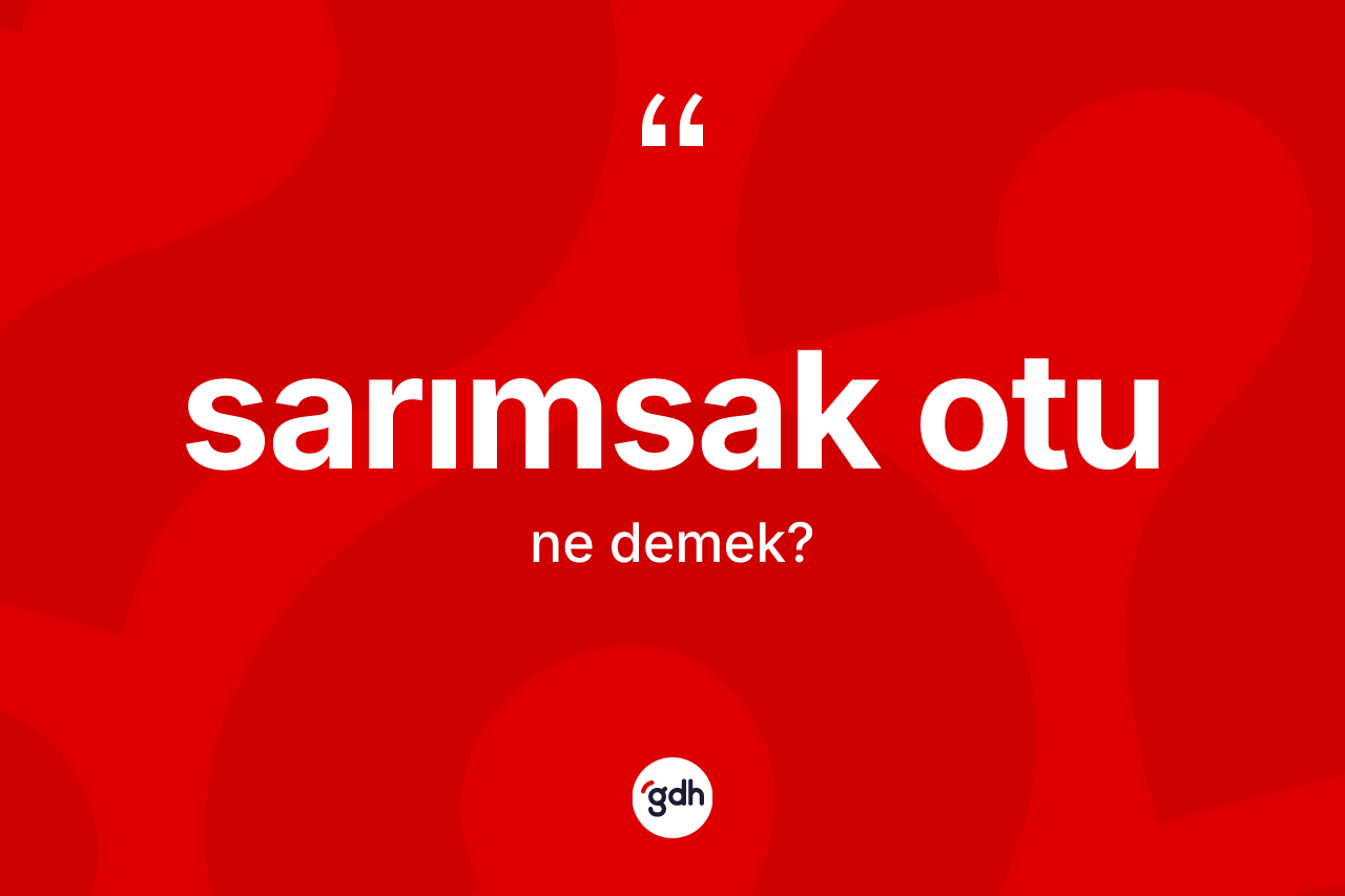 Sarımsak otu kelimesinin tanımı nedir? Sarımsak otunun TDK'ya göre anlamı nedir?