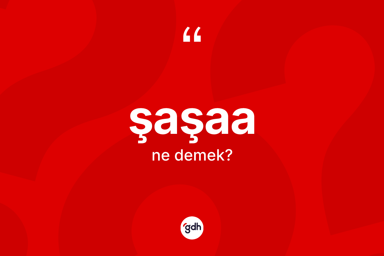 Şaşaa kelimesinin anlamı nedir?