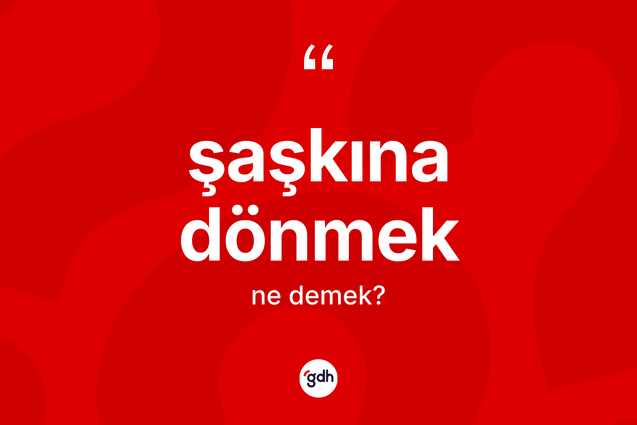 Şaşkına dönmek ifadesi ne anlama gelir?