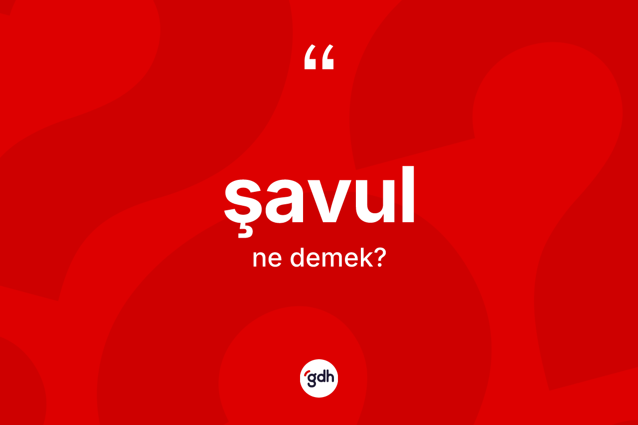 Şavul kelimesinin sözlükteki tanımı nedir? Şavul kelimesinin TDK'ya göre açıklaması nedir?