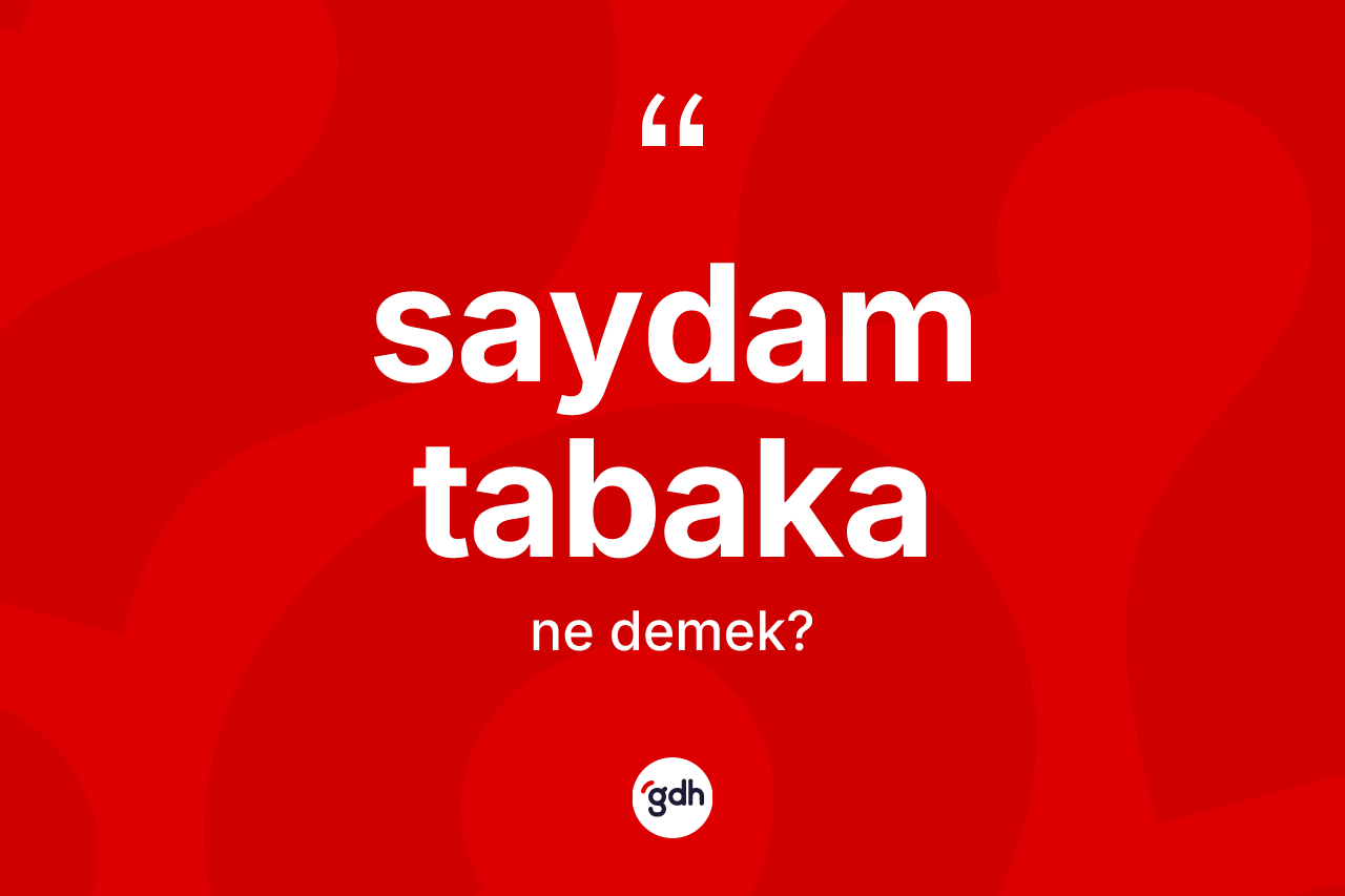 Saydam tabaka kelimesi ne demek? Saydam tabakanın TDK'ya göre anlamı nedir?
