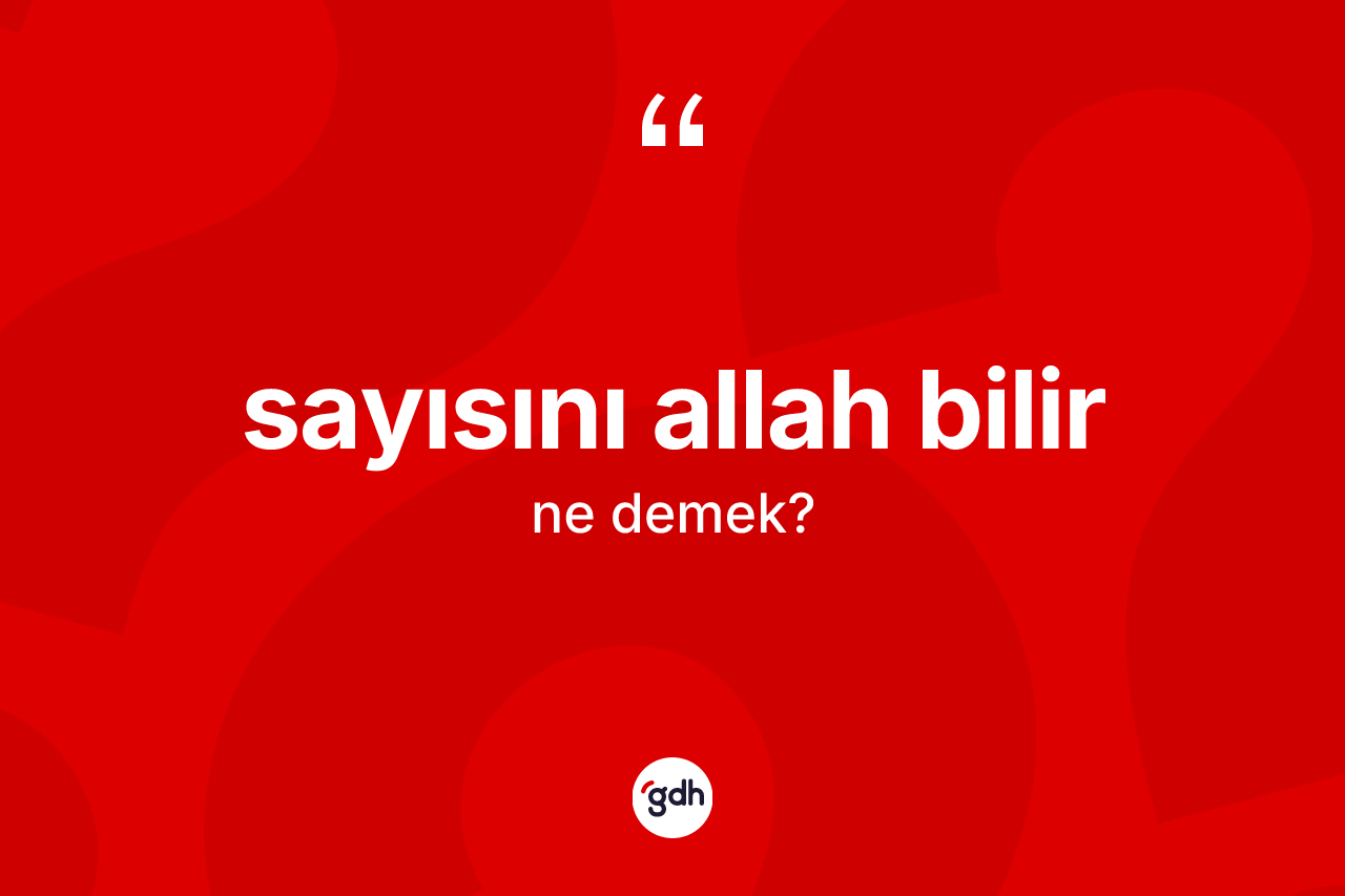 Sayısını Allah bilir ifadesinin kısaca anlamı nedir? Sayısını Allah bilir ifadesinin TDK anlamı nedir?
