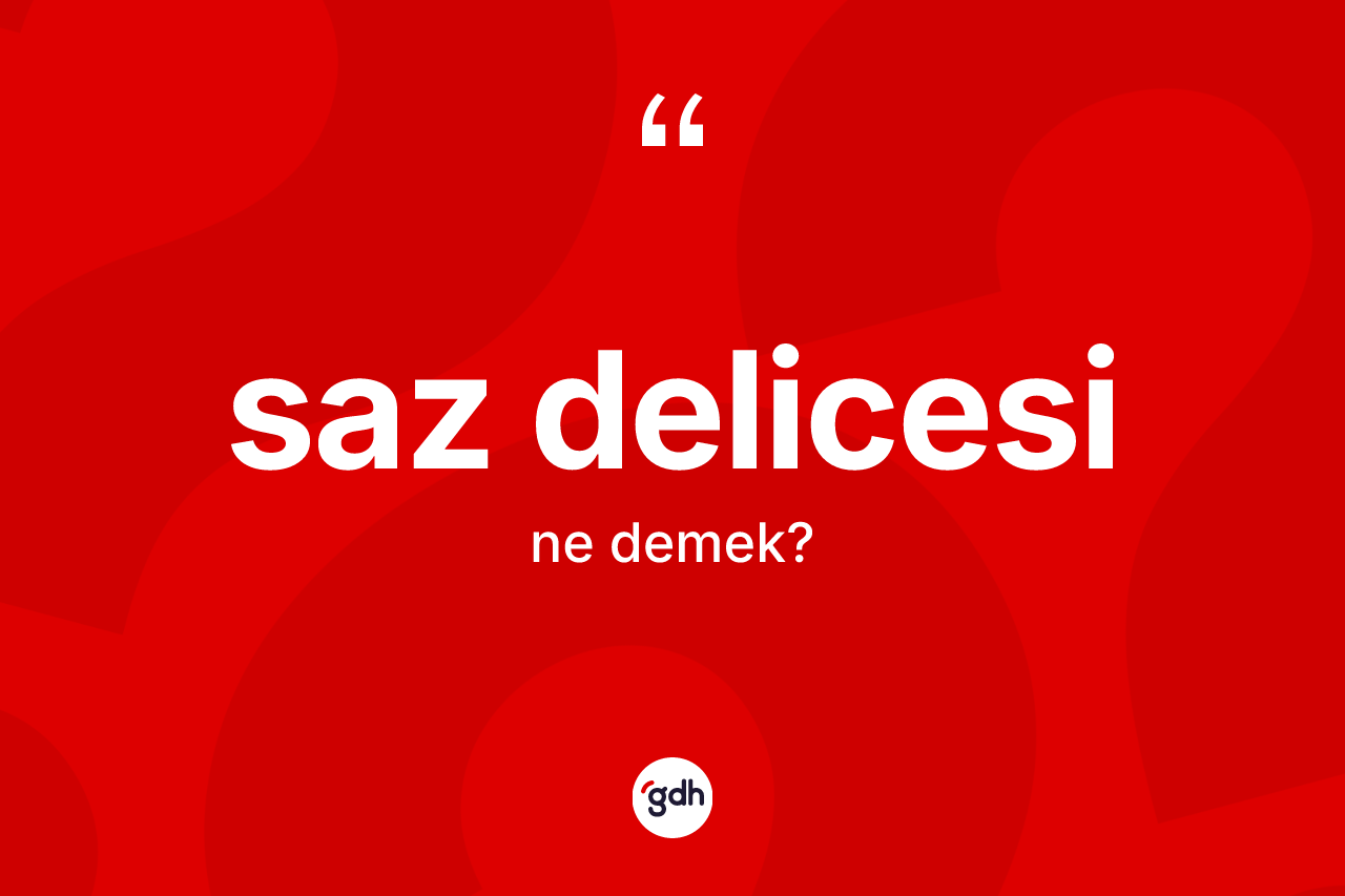 Saz delicesi kelimesinin anlamı nedir? Saz delicesinin kısaca tanımı nedir?