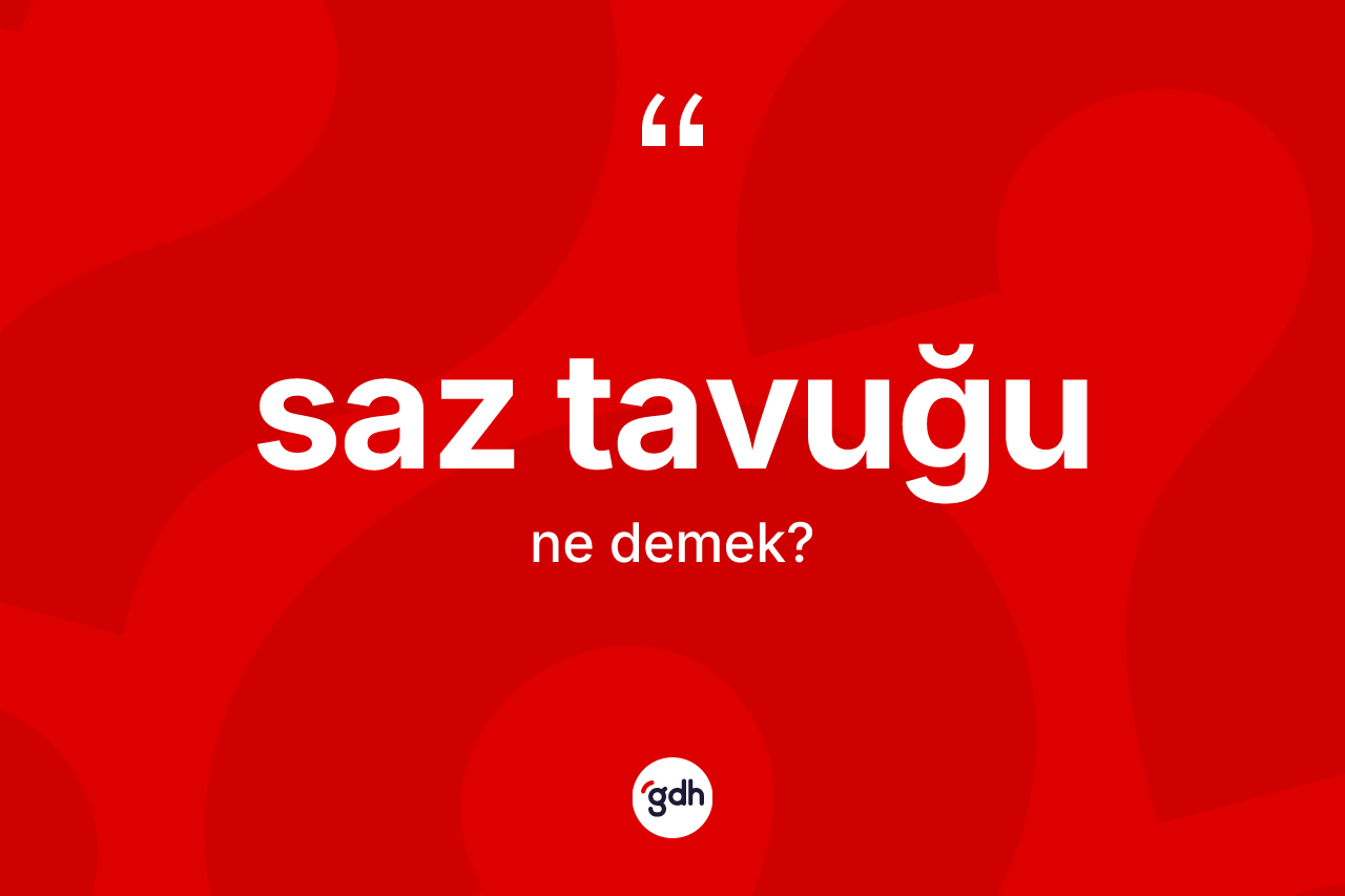 Saz tavuğu kelimesinin tanımı nedir? Saz tavuğu kelimesinin kaç farklı anlamı var?