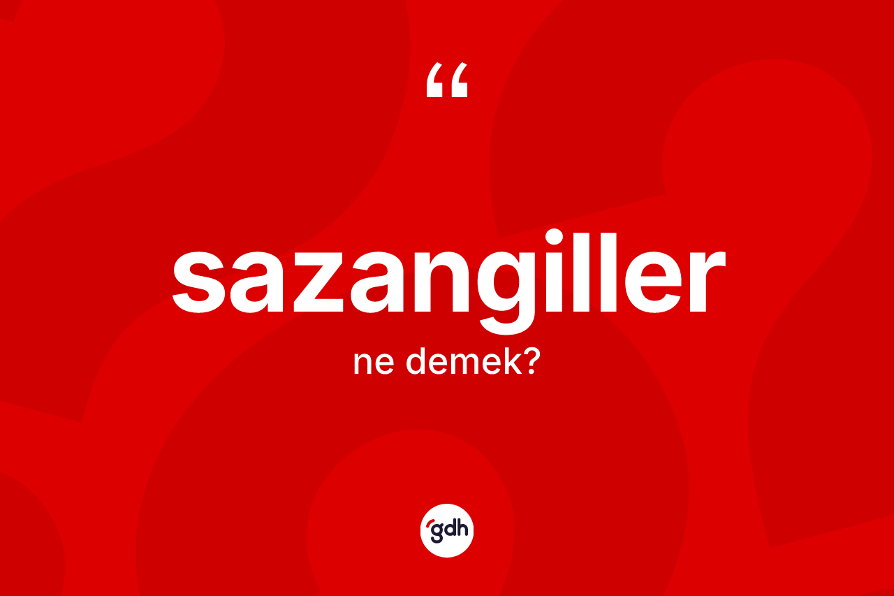Sazangiller nedir? Sazangillerin halk arasındaki kullanımı nasıldır?