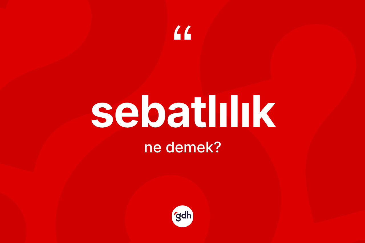 Sebatlılık kelimesi ne demek? Sebatlılığın TDK'ya göre anlamı nedir?