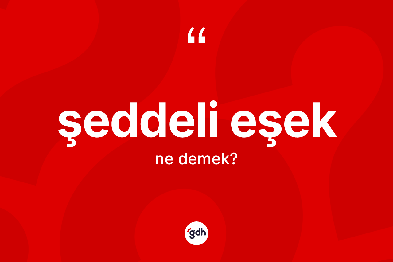Şeddeli eşek kelimesinin tanımı nedir?