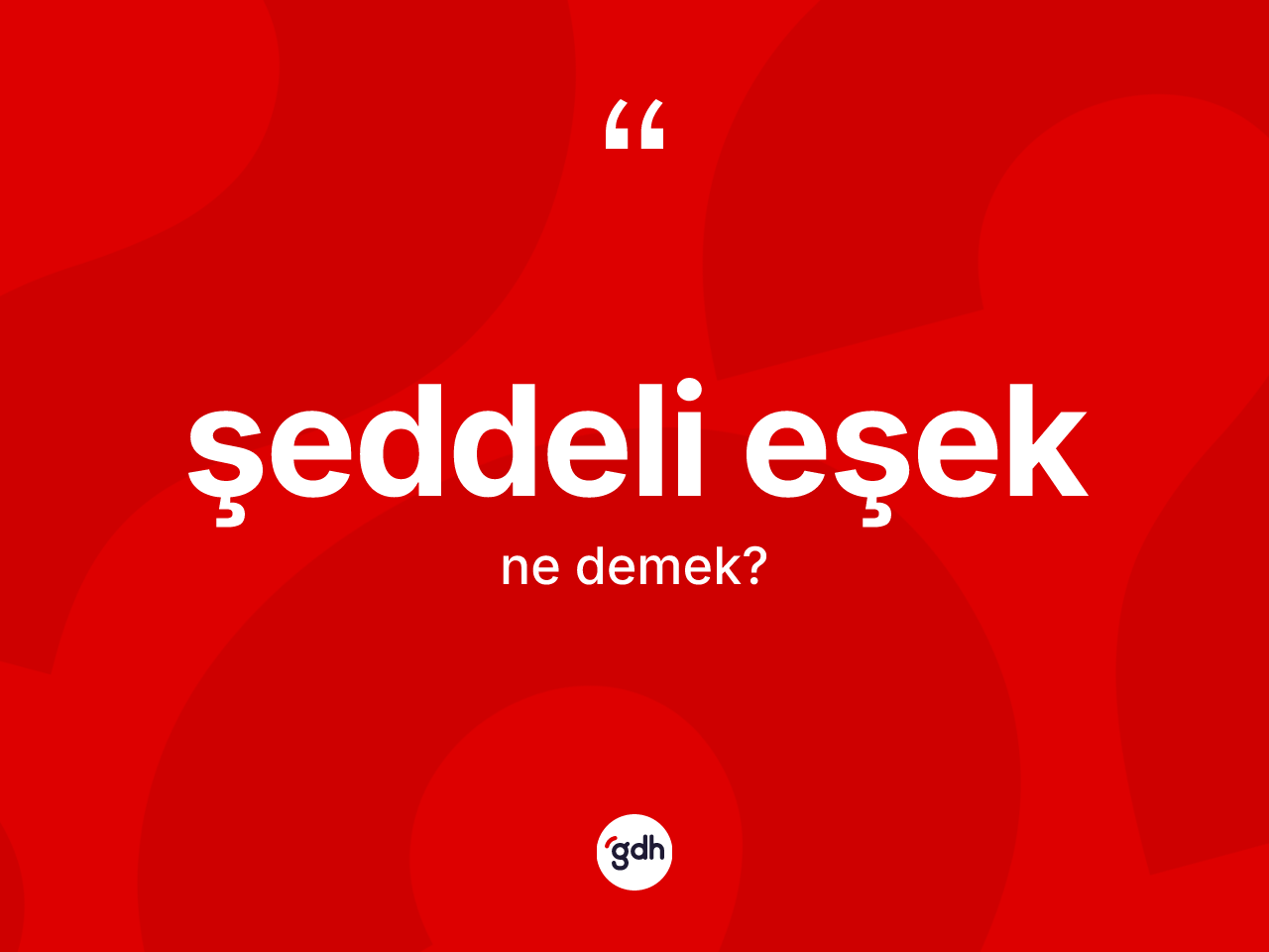 Şeddeli eşek kelimesinin tanımı nedir? Şeddeli eşeğin sözlükteki anlamı nedir?