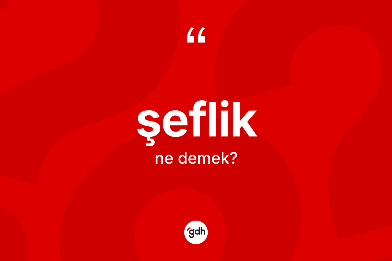 Şeflik kelimesi ne anlama gelir?